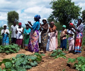 Agriculture study tours to Zimbabwe